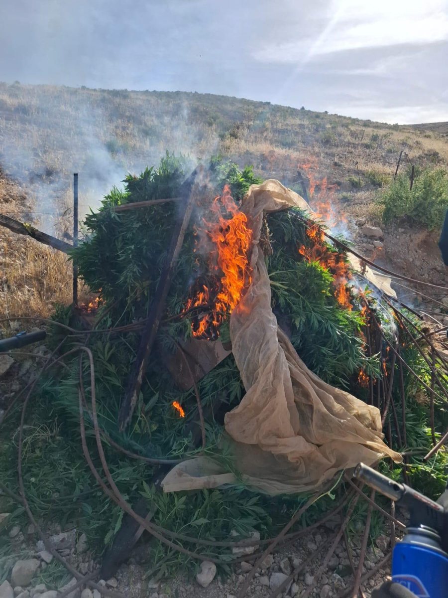 דוברות משטרה 