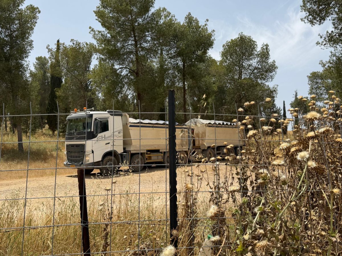 דוברות משטרה