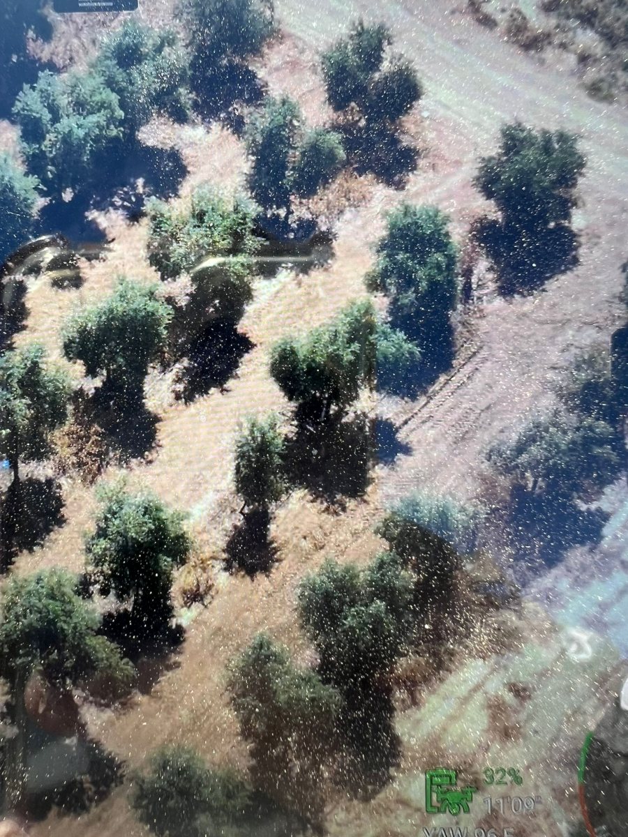 דוברות משטרה