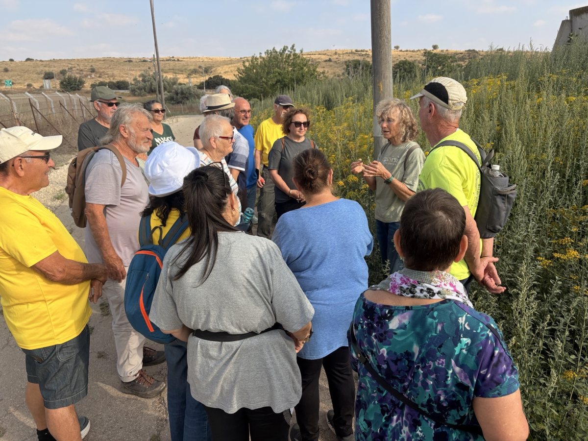 תמונות באדיבות המועצה
