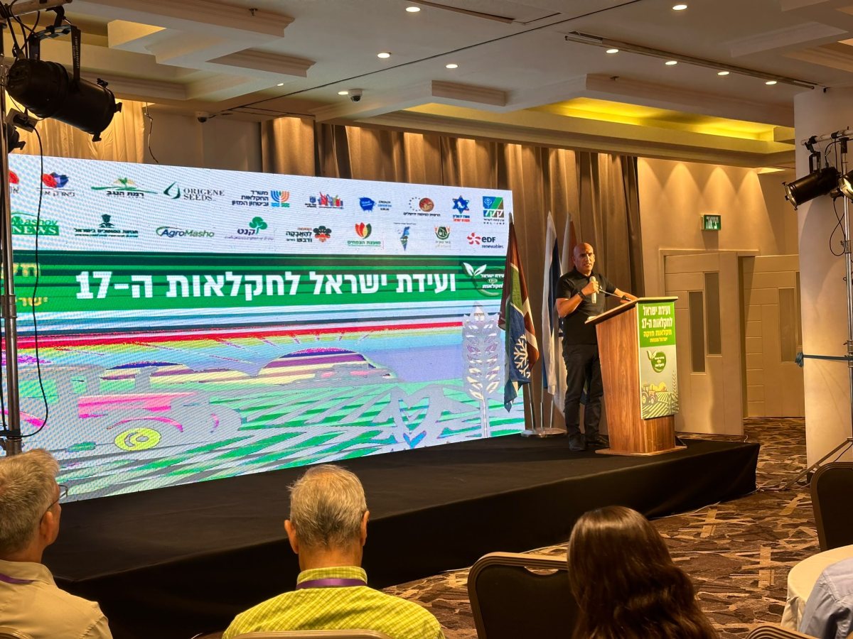 עמית יפרח 