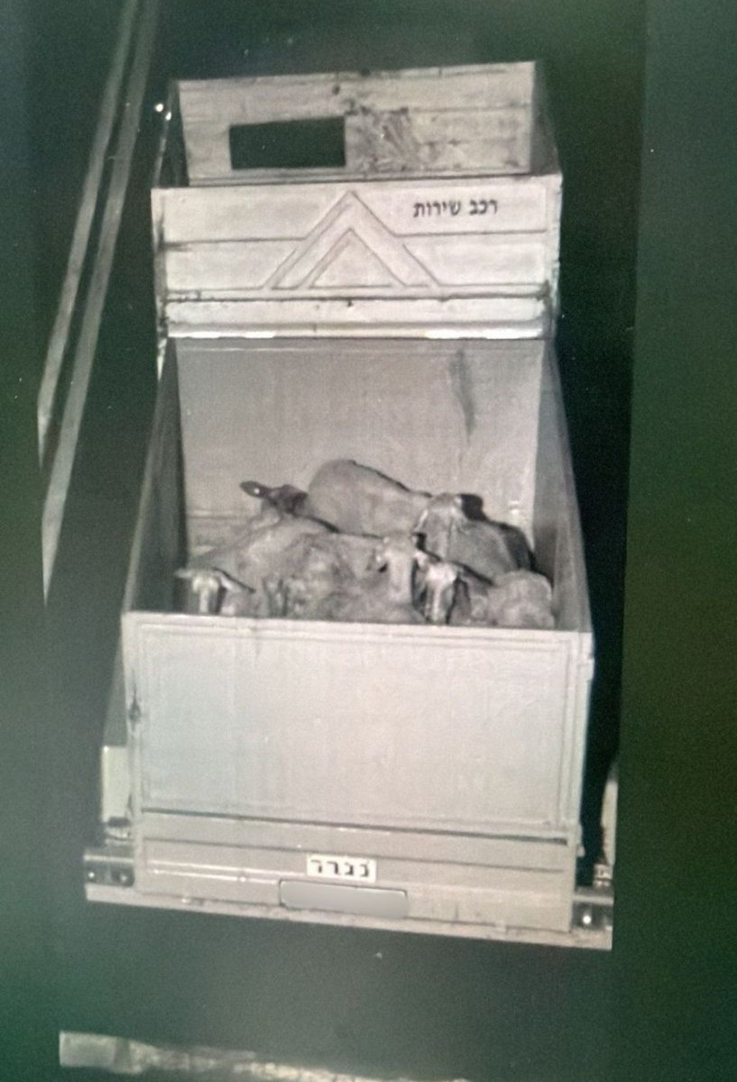 דוברות משטרה