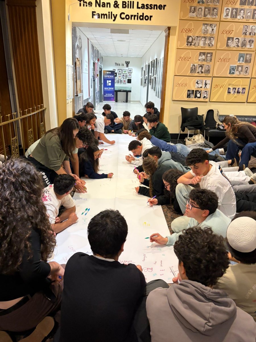 צילום: נועה דולב