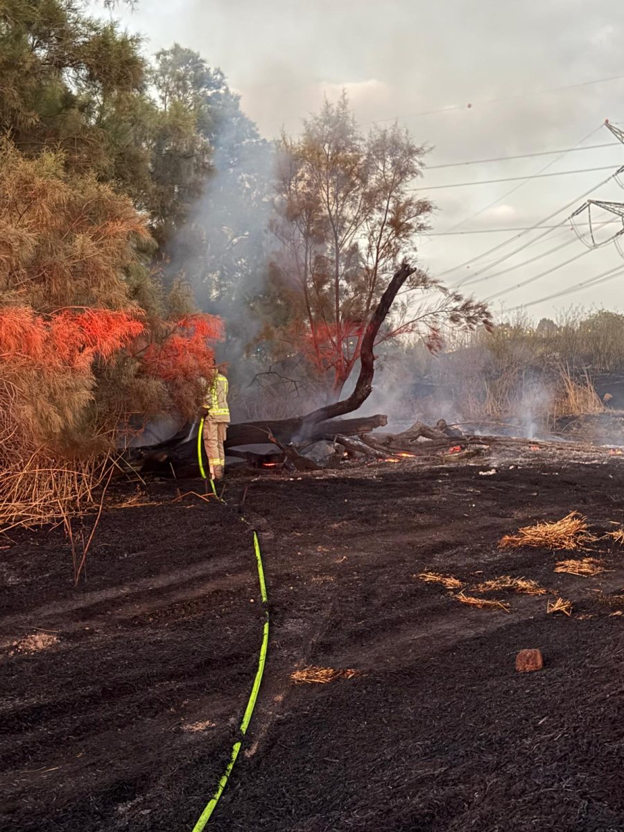 קרדיט צילום: כבאות והצלה לישראל