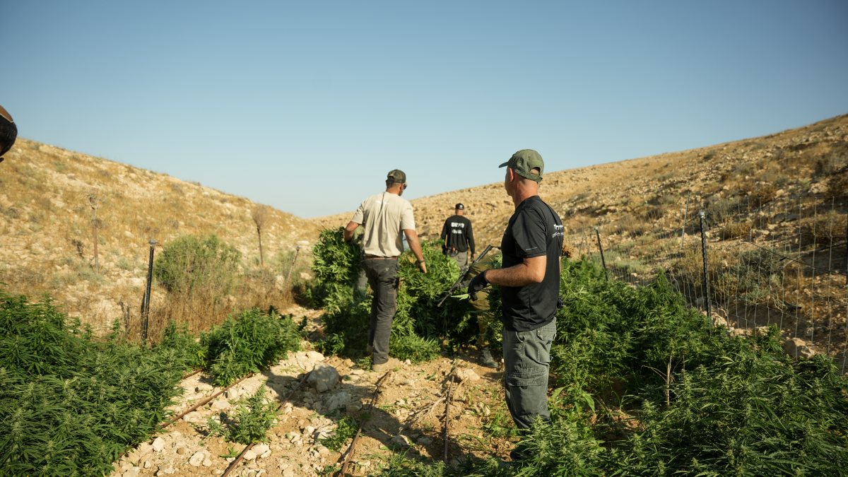 דוברות משטרה