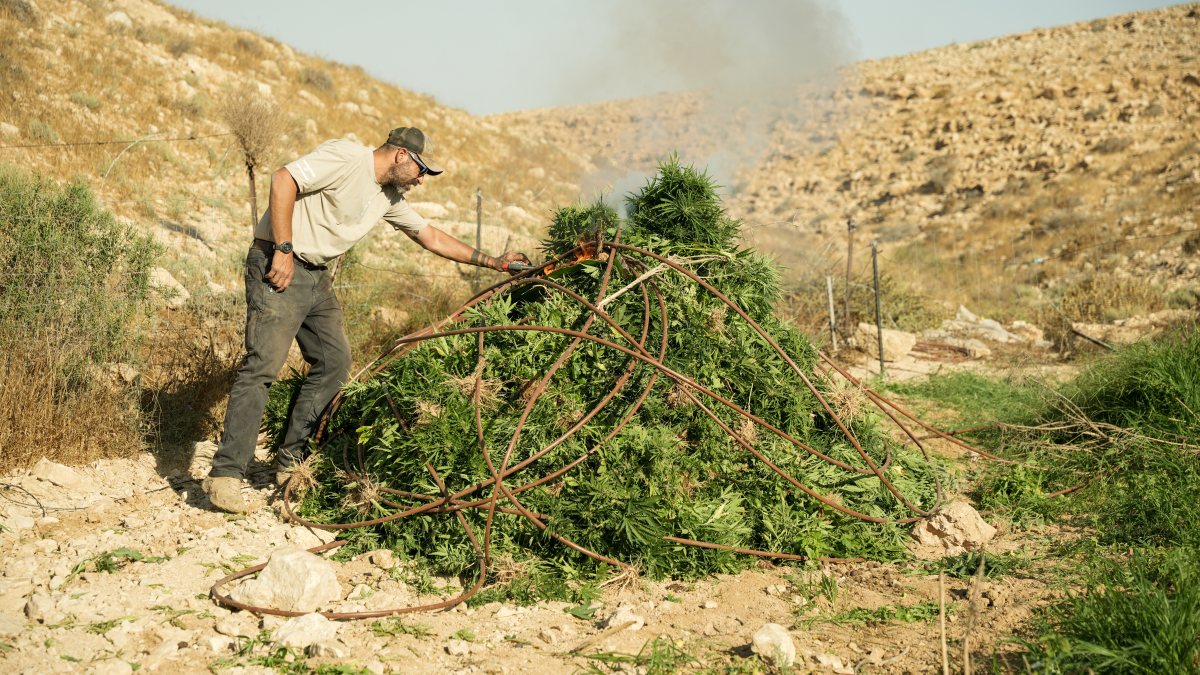 דוברות משטרה