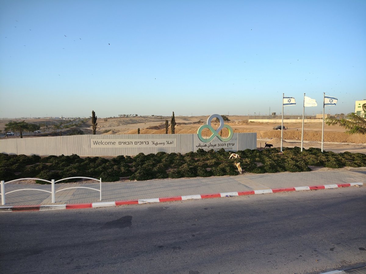 צילום: שקד בר חנין
