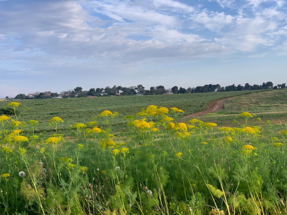 קיבוץ בית ניר באדיבות המועצה