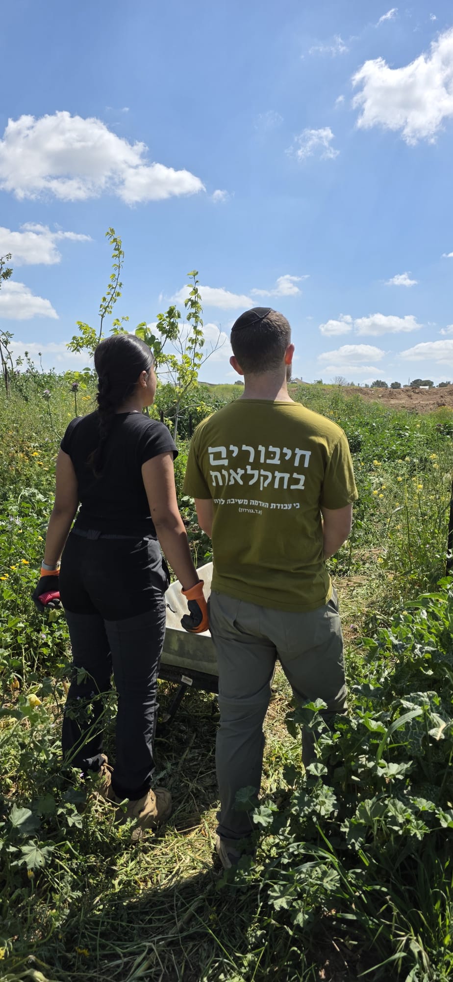 חיבורים בחקלאות