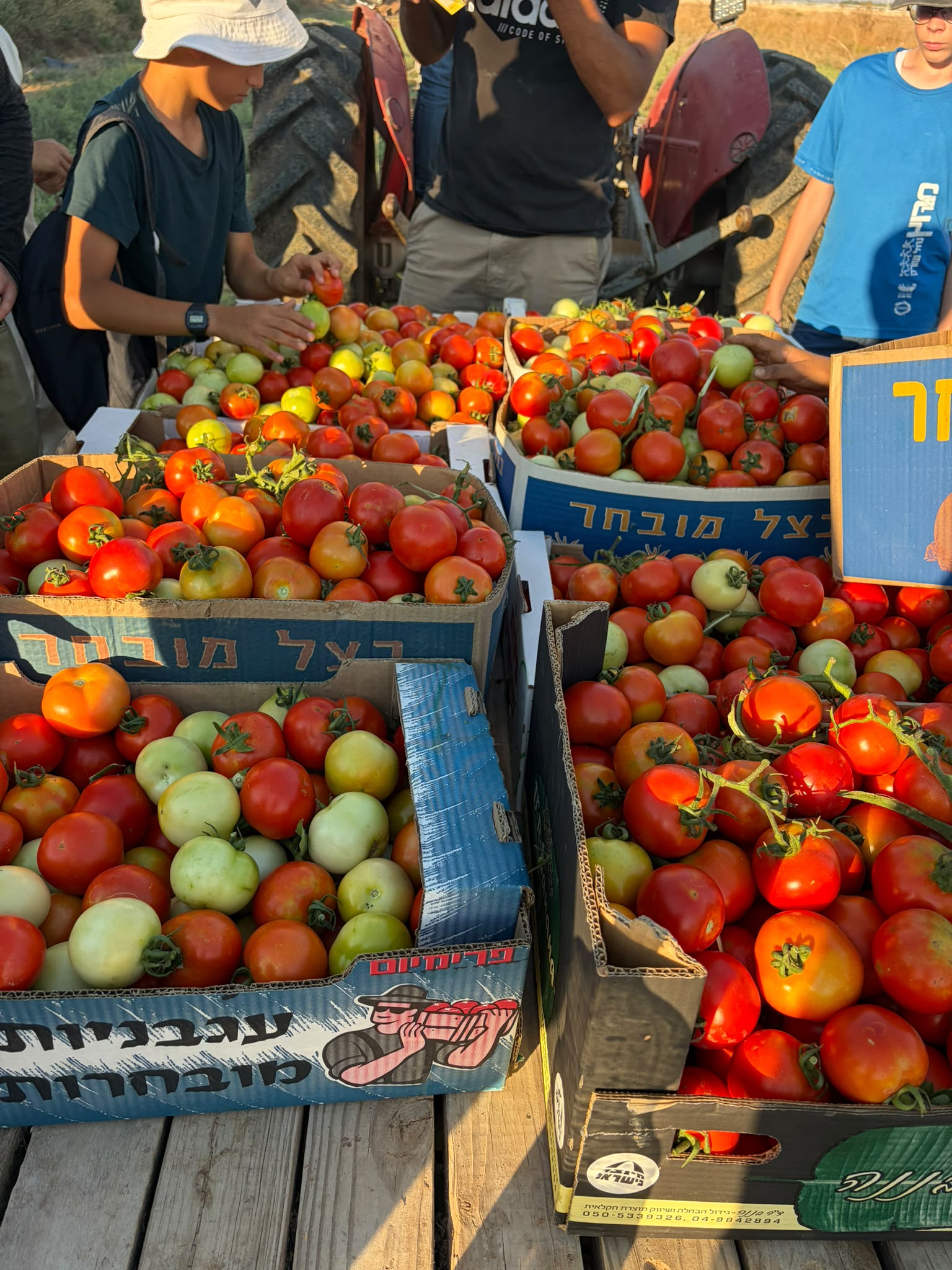 חיבורים בחקלאות