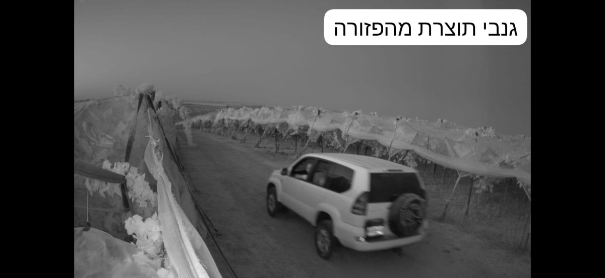 דוברות משטרה