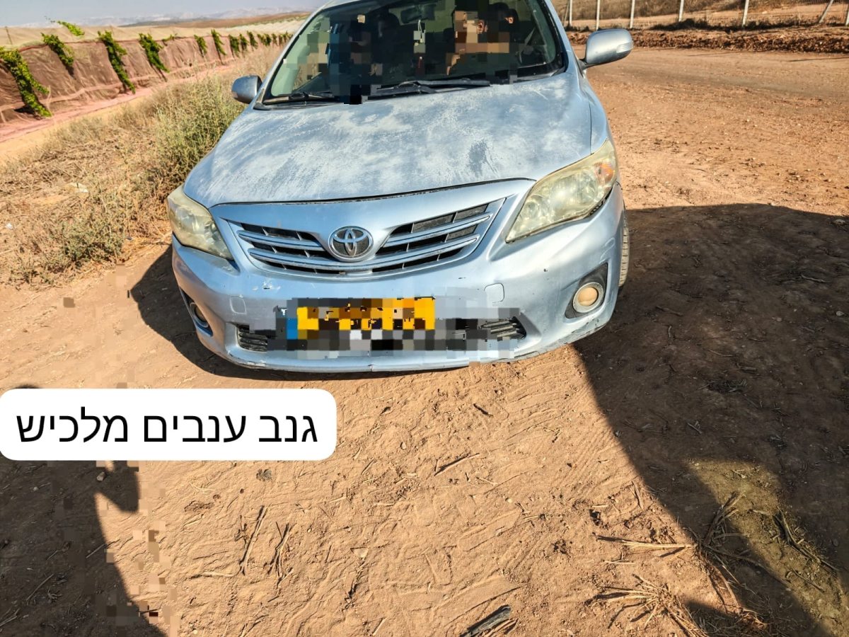 דוברות משטרה