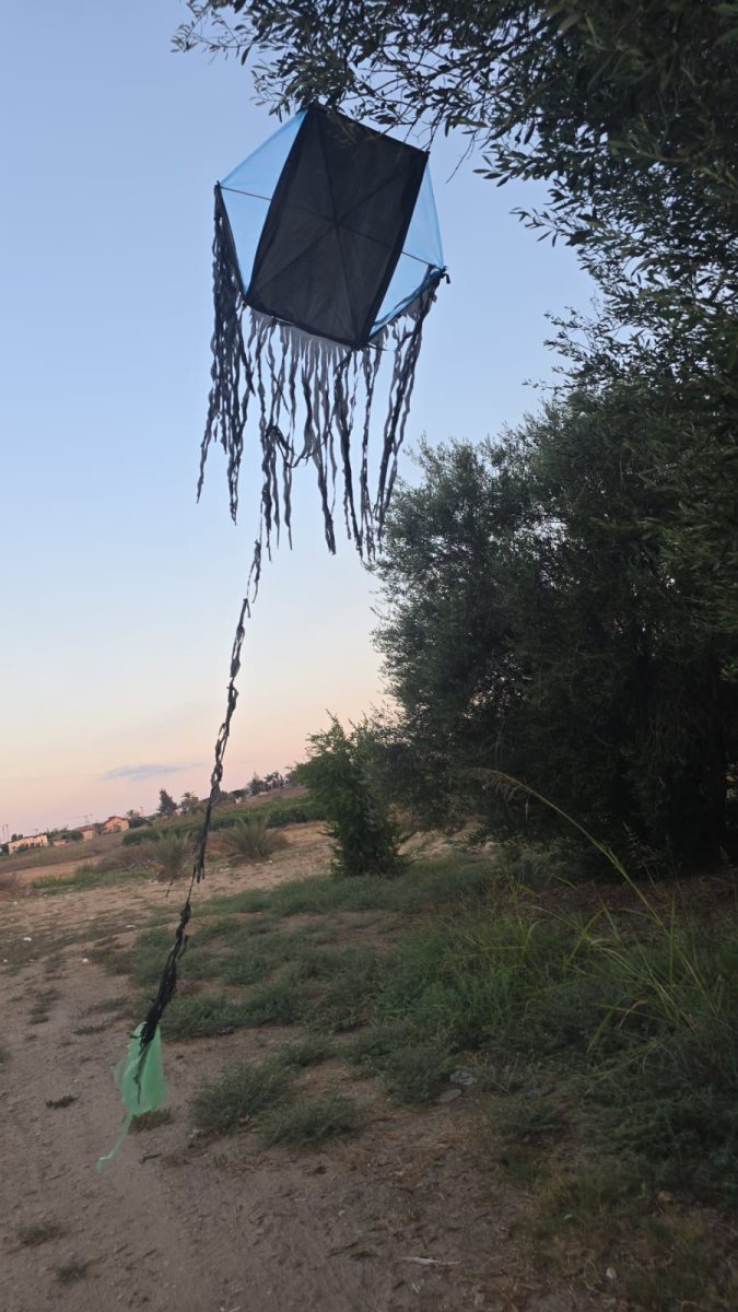 עפיפון מעזה 