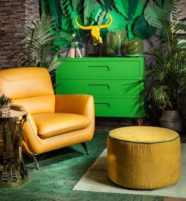 ירוק וטבעי בבית. לימור אורן לניקולטי. צילום: אלעד גונן