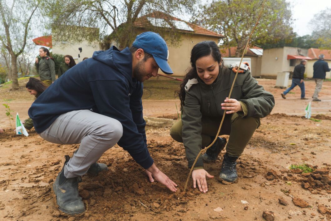 סגם אורטל יפתח