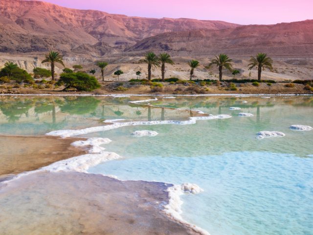 צילום: shutterstock אילוסטרציה