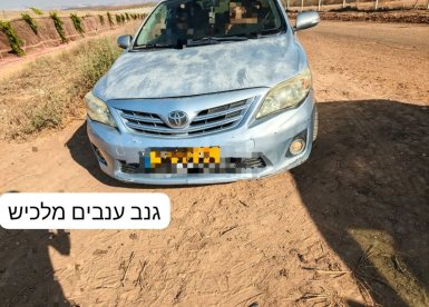 דוברות משטרה 