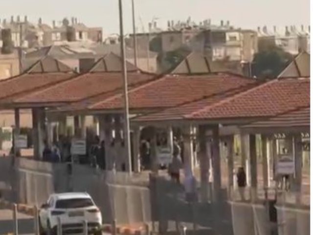 רץ ברשת 