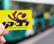 אם לשבעה עתרה לבג"ץ: "כחרדים אנו מופלים ברב-קו"