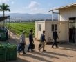 הממשלה אישרה: מבנים חקלאיים יוכלו לשמש למגורי עובדים זרים