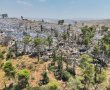 שריפת קוצים נרחבת סמוך ליישוב מבקיעים – סכנת התפשטות ליישוב