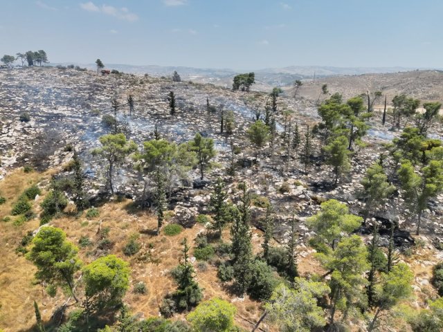 אמנון זיו כבאות והצלה ישראל
