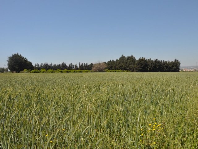 depositphotos קרקע