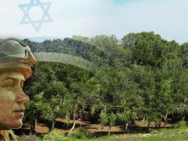 קק"ל 