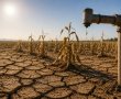 משבר מים קיצוני בפיתחת ניצנה: סכנה מיידית לכ- 20 אלף דונם של גידולי ירקות שהם כ 2 מיליון טון ירקות