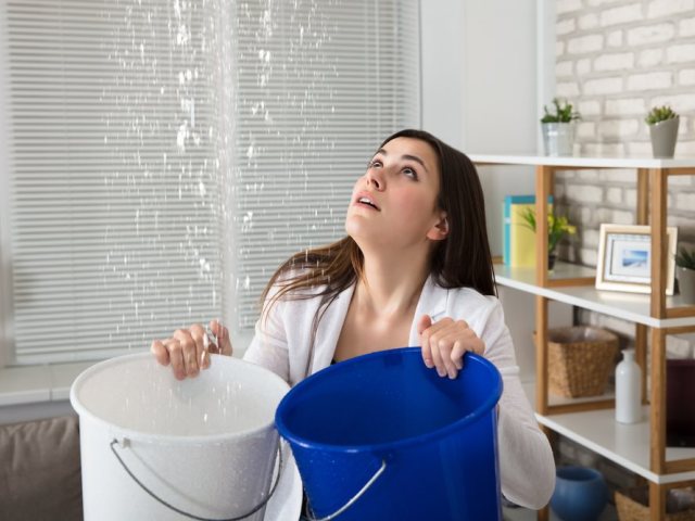Shutterstock