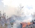 צילום אדי ישראל -שריפה בשמורת כרמיה