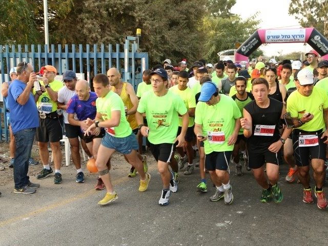 דוברות נחל שורק