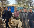 בעקבות פוסט מכירה בפייסבוק: לוחמי מג״ב דרום השיבו 2 כלבי רועים שנגנבו מלכיש ואותרו באבו גוש