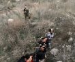נתפסו שוהים בלתי חוקיים באזור חבל לכיש