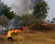 נלחמים בשרפות צילום יהודה פרץ קק"ל