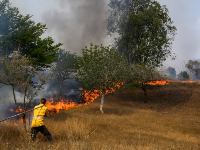 נלחמים בשרפות צילום יהודה פרץ קק"ל