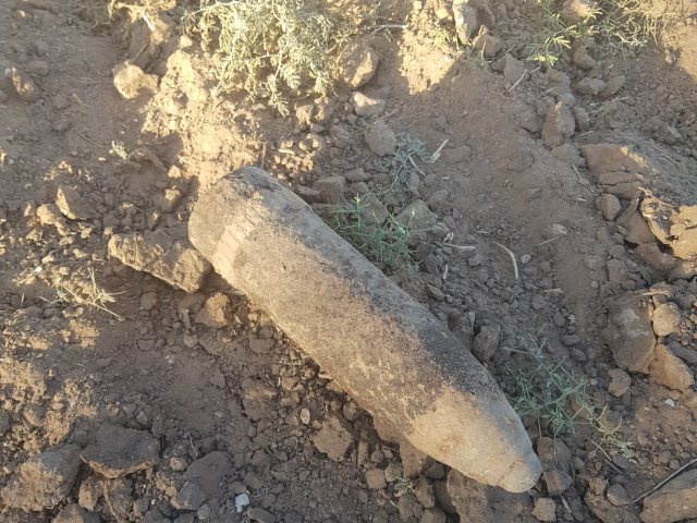 צילום אשר ממו