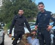 כלב שירות נגנב והושב לבעליו: חשוד נעצר בפעילות משותפת של מג״ב והמשטרה
