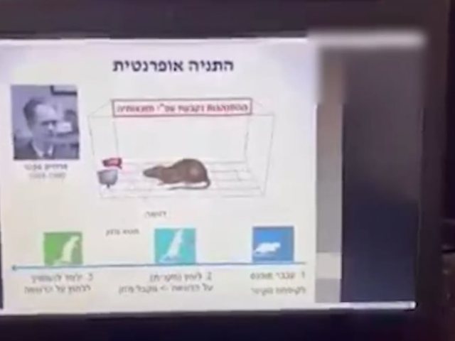מתוך הזום של מכללת אחווה