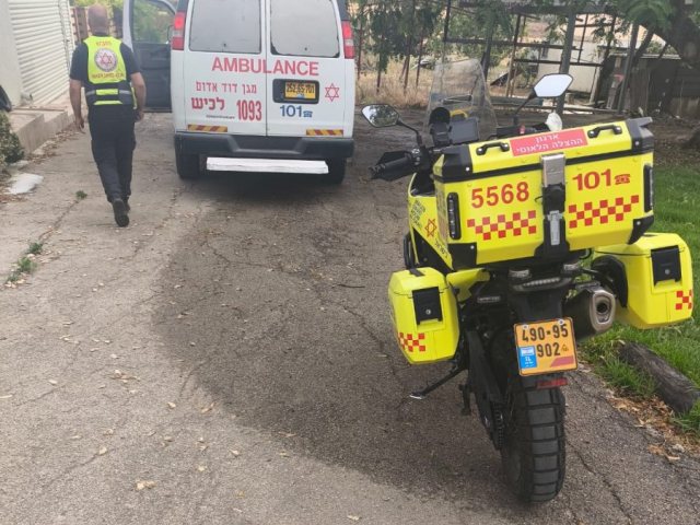 דוברות מדא הצלה דרום