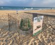 קן צבת ים שהוטל בחוף הושאר עד לבקיעתו להעלאת המודעות