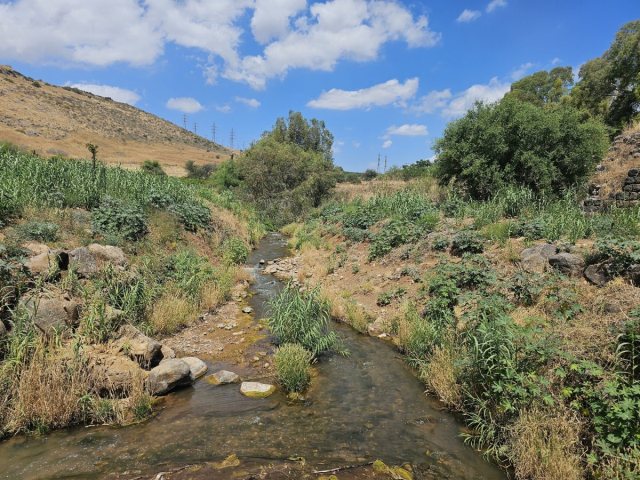 נחל צלמון, בסמוך למושבה מגדל - צילום תקשורות יעל שביט