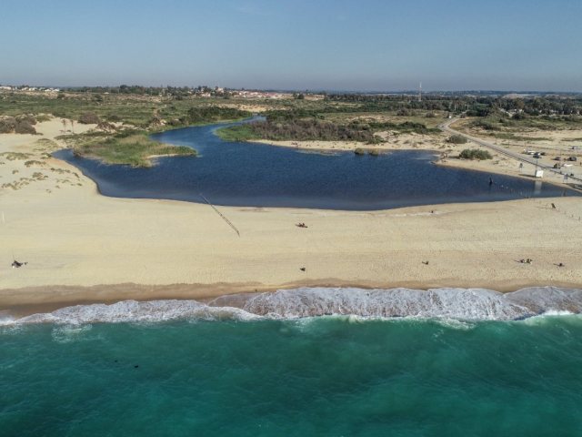 צילום אמנון זיו