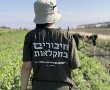 התנדבות בחקלאות בחנוכה 2023- הצעה לפעילות חינמית לכל המשפחה