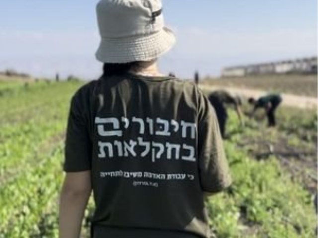   "חיבורים בחקלאות" חנוכה 2023 מתנדבים בפעילות משפחתית נהנים ומסייעים לחקלאים 