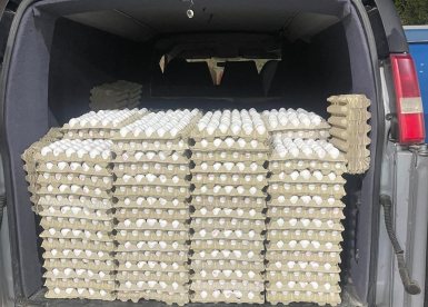 צילום: משרד החקלאות וביטחון המזון