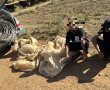 עלייה חדה בגניבות חקלאיות באזור לכיש: כוחות מג"ב לכיש ומתנדבי מג"ב דרום פועלים למיגור התופעה