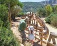 סיור אוכלי עשב בגן החיות התנכי צילום שמשון ביריג