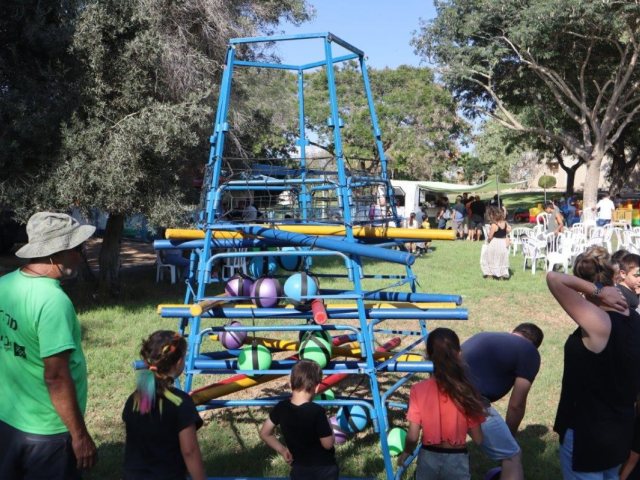מועצה אזורית יואב