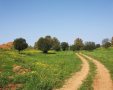 depositphotos יישוב